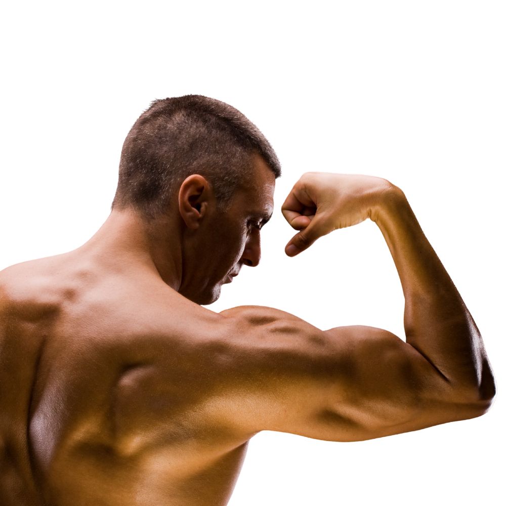 Muscle Recovery – Samisha Organic